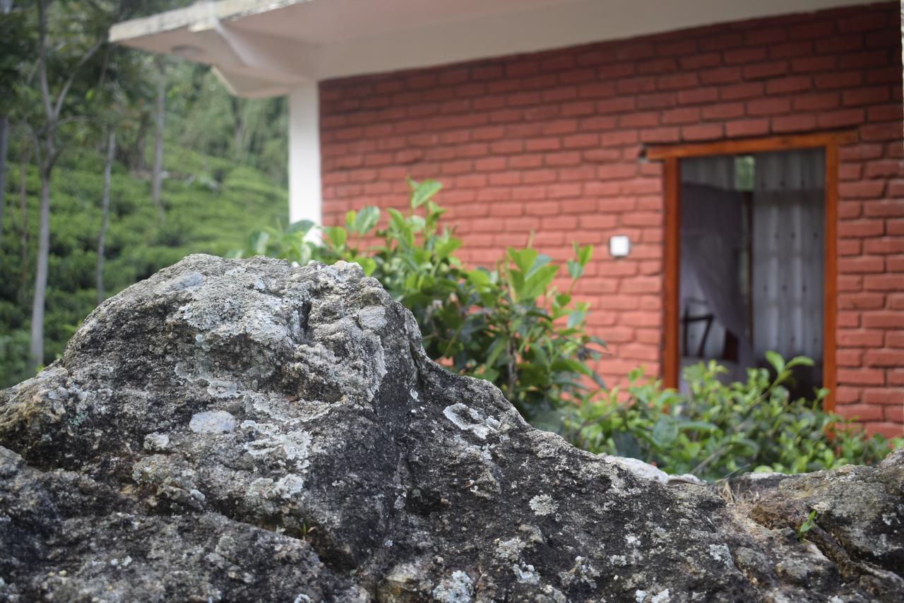 Villa Ella Rock Glance Extérieur photo