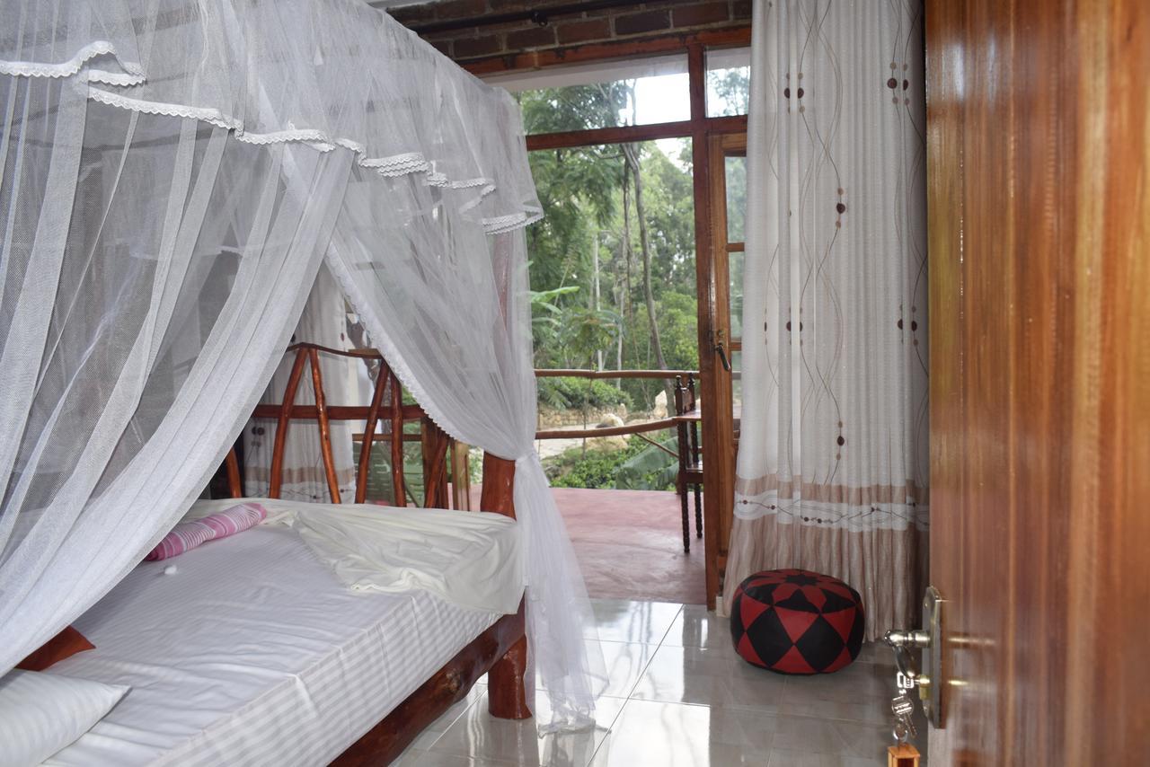 Villa Ella Rock Glance Extérieur photo